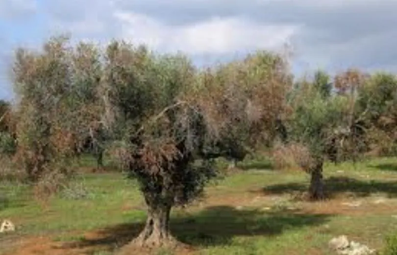 Forest & Water Management